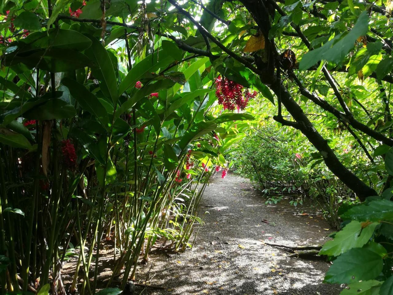 Posada Villamaga El Valle  ภายนอก รูปภาพ