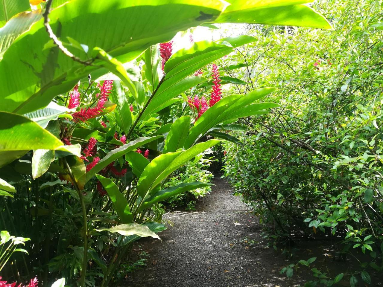 Posada Villamaga El Valle  ภายนอก รูปภาพ