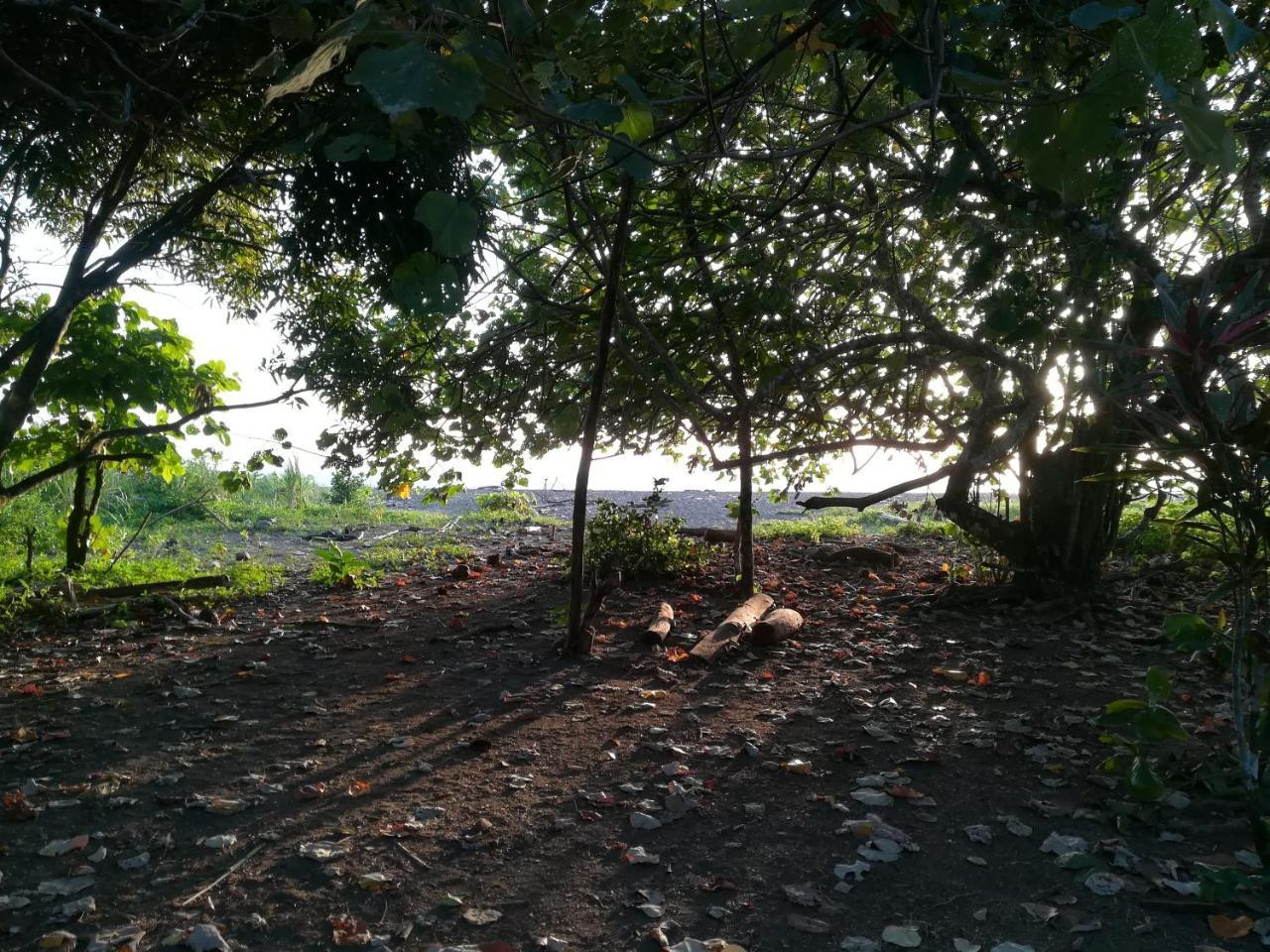 Posada Villamaga El Valle  ภายนอก รูปภาพ